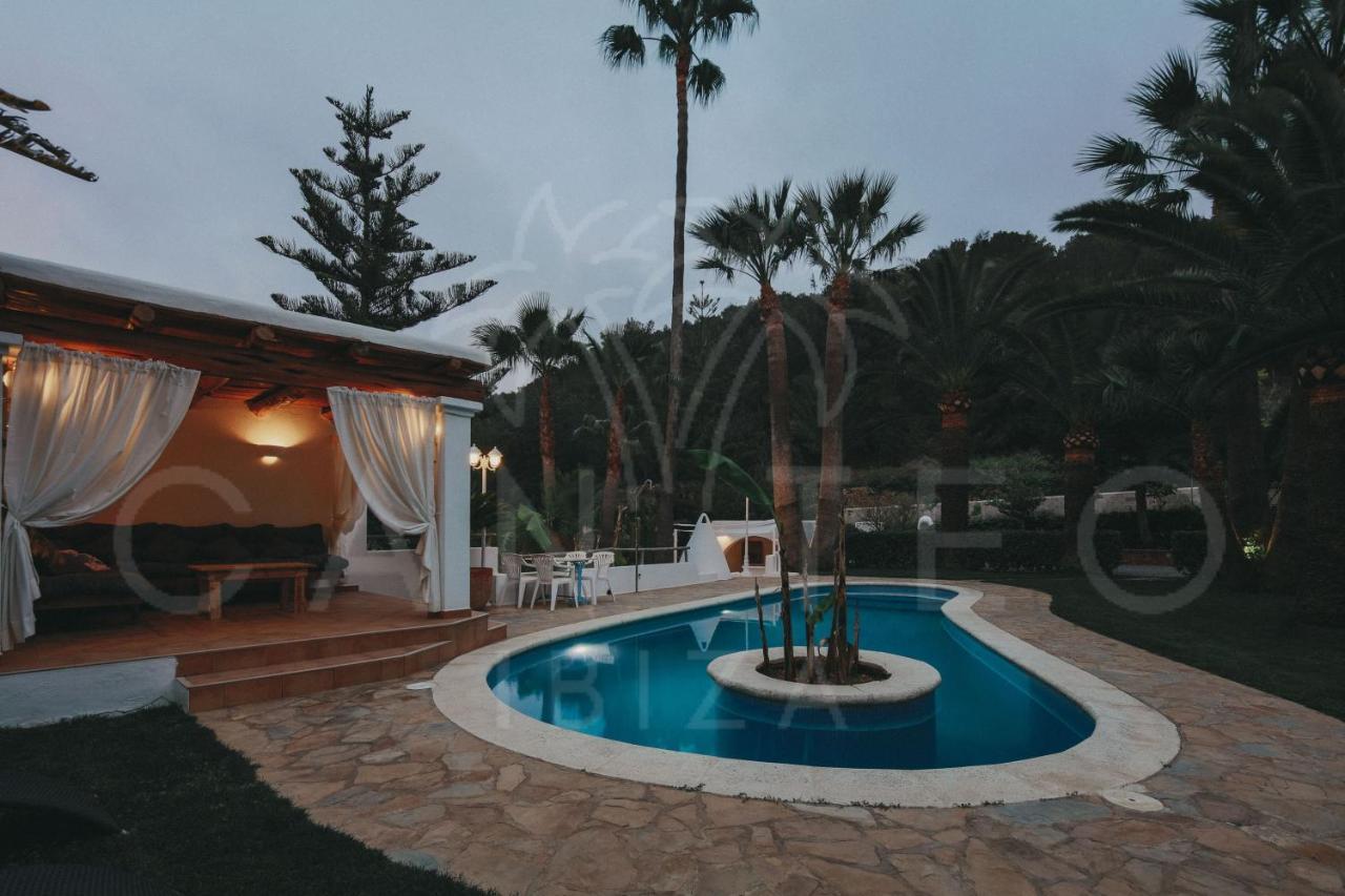 Teo - In Ibiza Villa San José