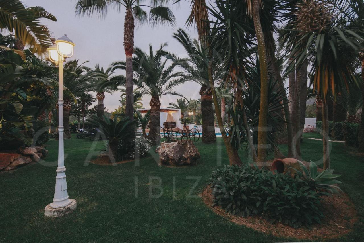 Teo - In Ibiza * San José