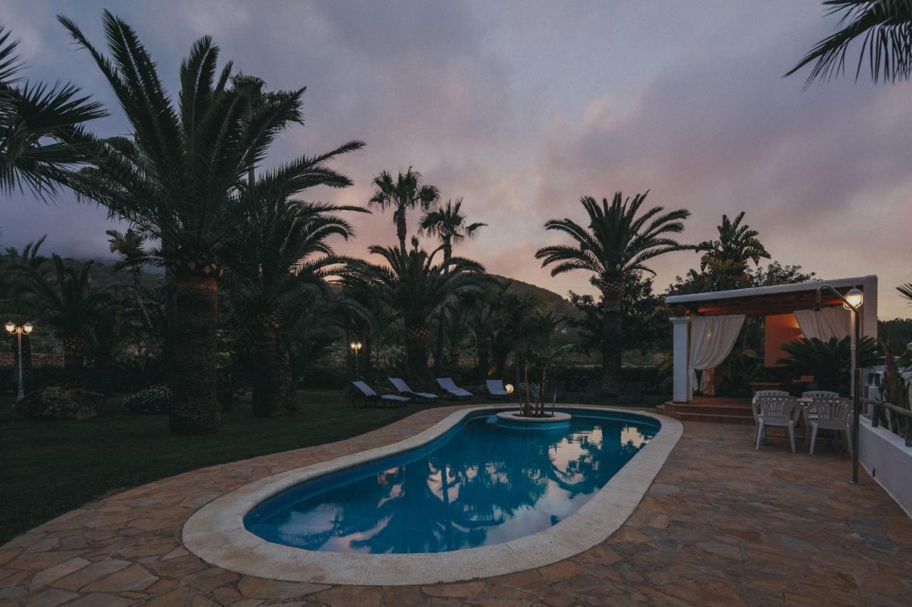 Teo - In Ibiza San José