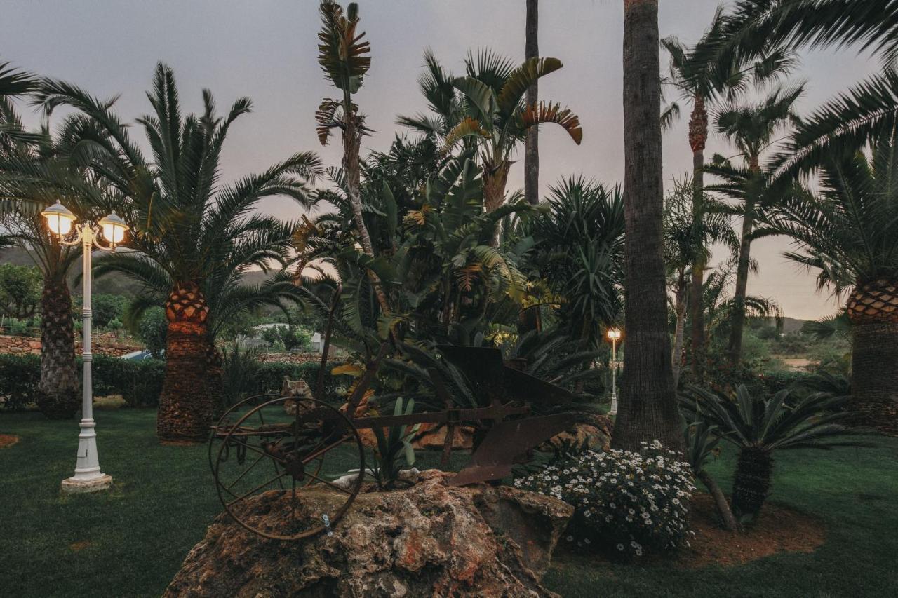Teo - In Ibiza Villa San José